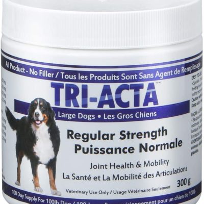 Buy Raw Dog Food Online in Burlington