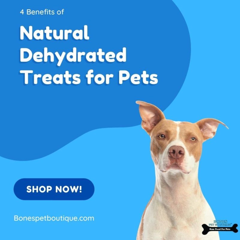 4 Benefits of Natural Dehydrated Treats for Pets Bones Pet Boutique