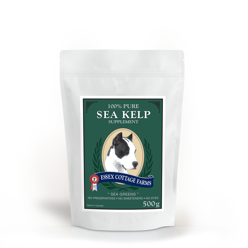 A white pouch with a green label showing a black and white dog's face. The label reads "100% Pure Sea Kelp Supplement" and "Essex Cottage Farms," with details about the product's ingredients and weight (500g).