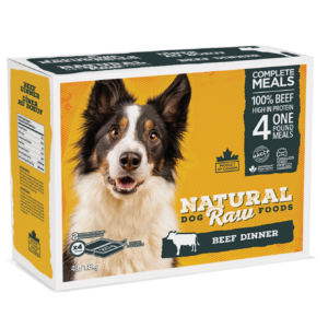 A box of Natural Dog Raw Foods Beef Dinner 4 lbs for dogs, featuring a happy black and white dog. The package highlights "100% beef," "High in protein," and includes four one-pound meals.