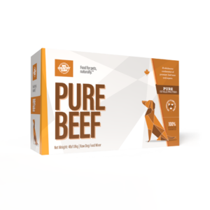 A rectangular box labeled "Big Country Raw Pure Beef 4x1lb" features an origami-style dog, orange and white colors, and text stating it's 100% single-protein beef for pets.