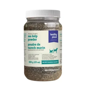 A clear plastic jar of Healthy Paws Kelp 650g for pets, with a white lid and bilingual English-French label, containing 650g (23 oz) of Atlantic sea kelp powder.