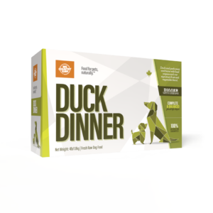 A box of Big Country Raw Duck Dinner 4x1lb, featuring green and white packaging with origami-style dog and duck illustrations and bold text.