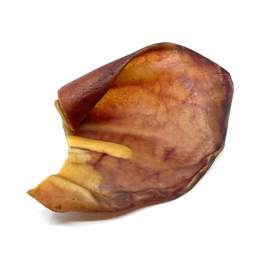 A single pig ear dog treat with a reddish-brown color, featuring a smooth, leathery texture and slightly curled edges, placed on a white background.