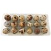 Frozen Quail Eggs