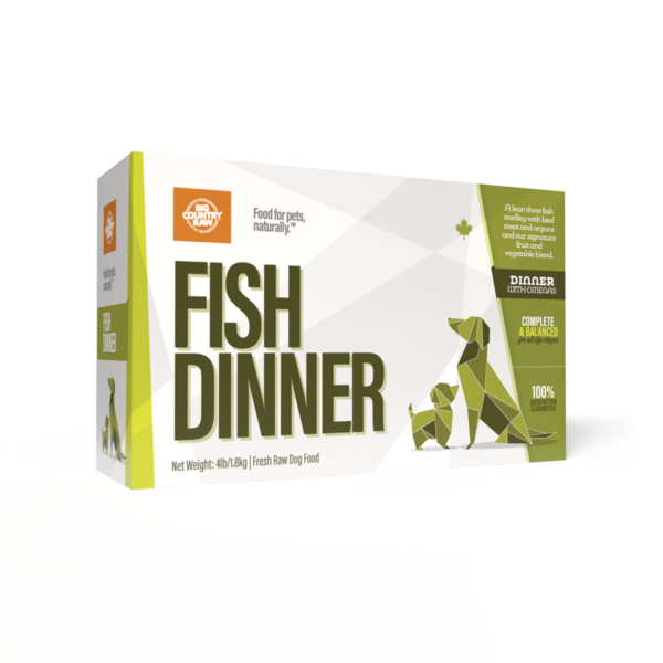 A 4x1lb box of Big Country Raw Fish Dinner, featuring geometric dog and fish illustrations. The packaging highlights its complete and balanced recipe.