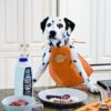 Goat Milk for Pets