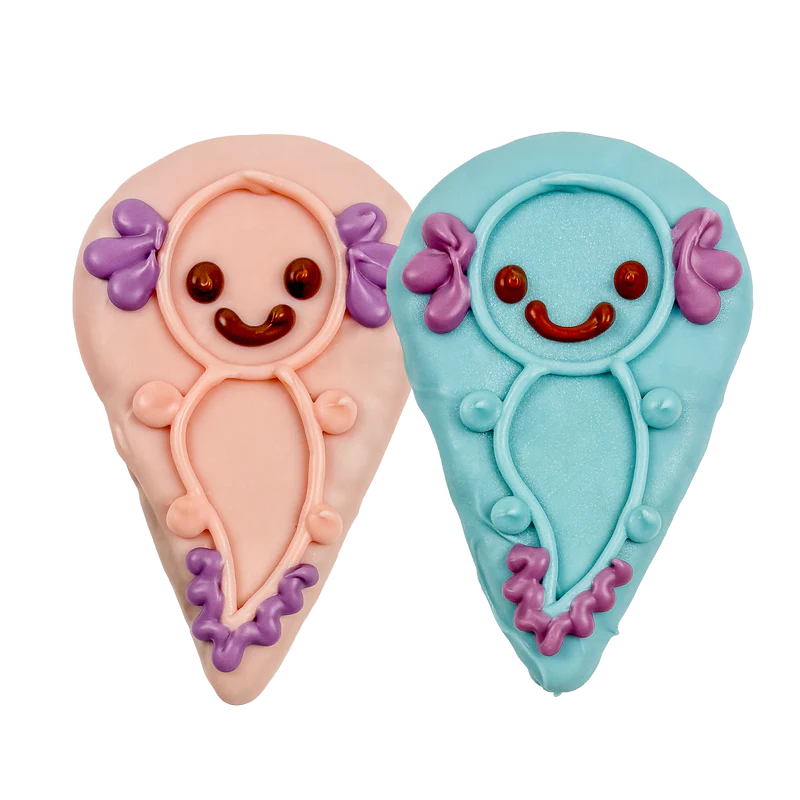 Two decorated cookies shaped like cute axolotls, one pink and one blue, each with a smiling face, red eyes, and purple gill details.