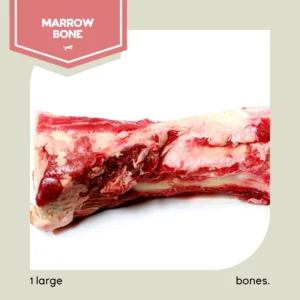 A single large raw marrow bone with visible meat and fat on a light-colored background. The text reads "Marrow Bone" at the top and "1 large bones." at the bottom.