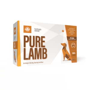 A box of Big Country Raw Pure Lamb 4x1lb raw dog food features orange and white packaging with a geometric dog design and text emphasizing 100% pure single protein and natural ingredients.