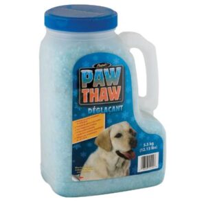 A blue container of Paw Thaw ice melter with a handle. The label features an image of a dog and text in English and French. The container holds 5.5 kg (12.13 lbs) of product.