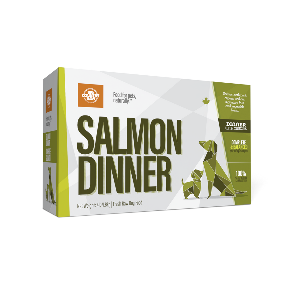 Box of “Salmon Dinner” fresh raw dog food, with geometric dog and tree graphics in green. Text highlights it’s for pets, contains salmon, and weighs 4 lb (1.81kg). Brand: The Honest Kitchen.