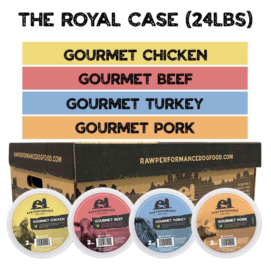 A box labeled "Raw Performance Royal 24lbs" contains four tubs of Raw Performance dog food: Gourmet Chicken, Gourmet Beef, Gourmet Turkey, and Gourmet Pork, each with a uniquely colored label.