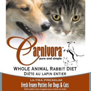 Animal rabbit Carnivora