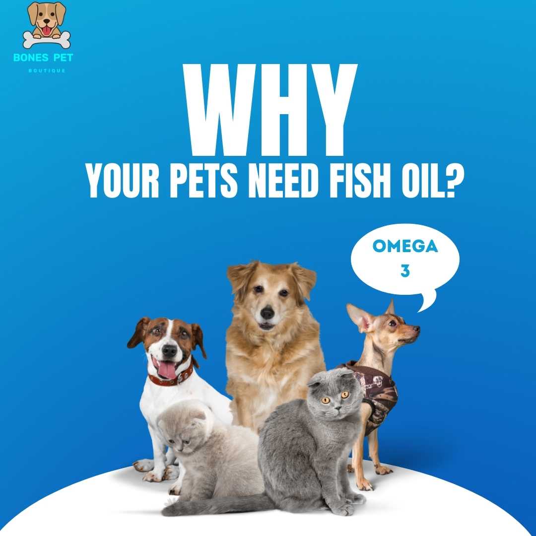 Your Pets Need Fish Oil