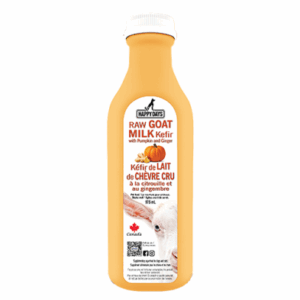 A bottle of Happy Days Raw Goat Milk Kefir with pumpkin and ginger, featuring bilingual English and French text, a Canadian maple leaf, and an image of a goat on the bottom right. The bottle is orange with a white cap.
