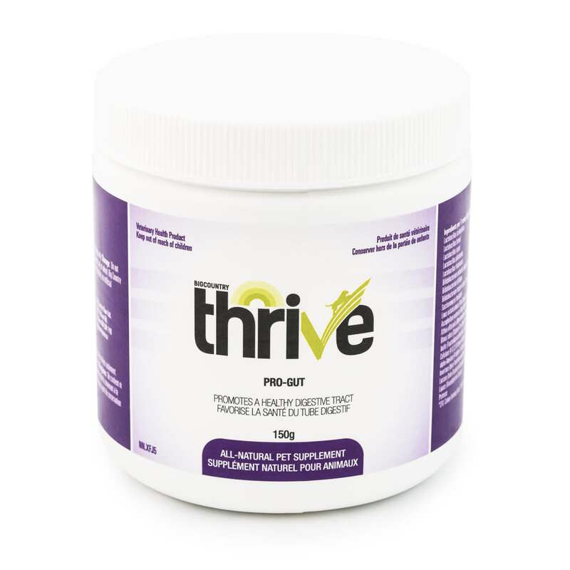 A white plastic container labeled “Thrive Pro-Gut” with purple accents. It is an all-natural pet supplement for digestive health, 150g size, with text in English and French.