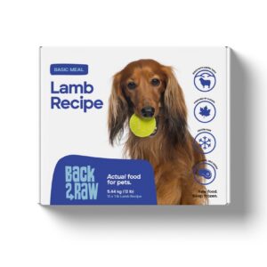A dog with long brown fur holds a tennis ball in its mouth on the front of a "Back2Raw Lamb 12lbs (Basic)" pet food box, featuring blue text and icons for freshness, a maple leaf, and freeze-dried qualities.