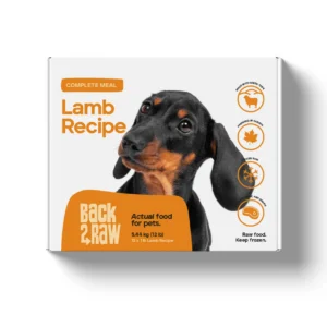 A 12lb box of Back2Raw Lamb (Complete) pet food features a black and brown dachshund photo, along with text and icons describing it as a complete meal.