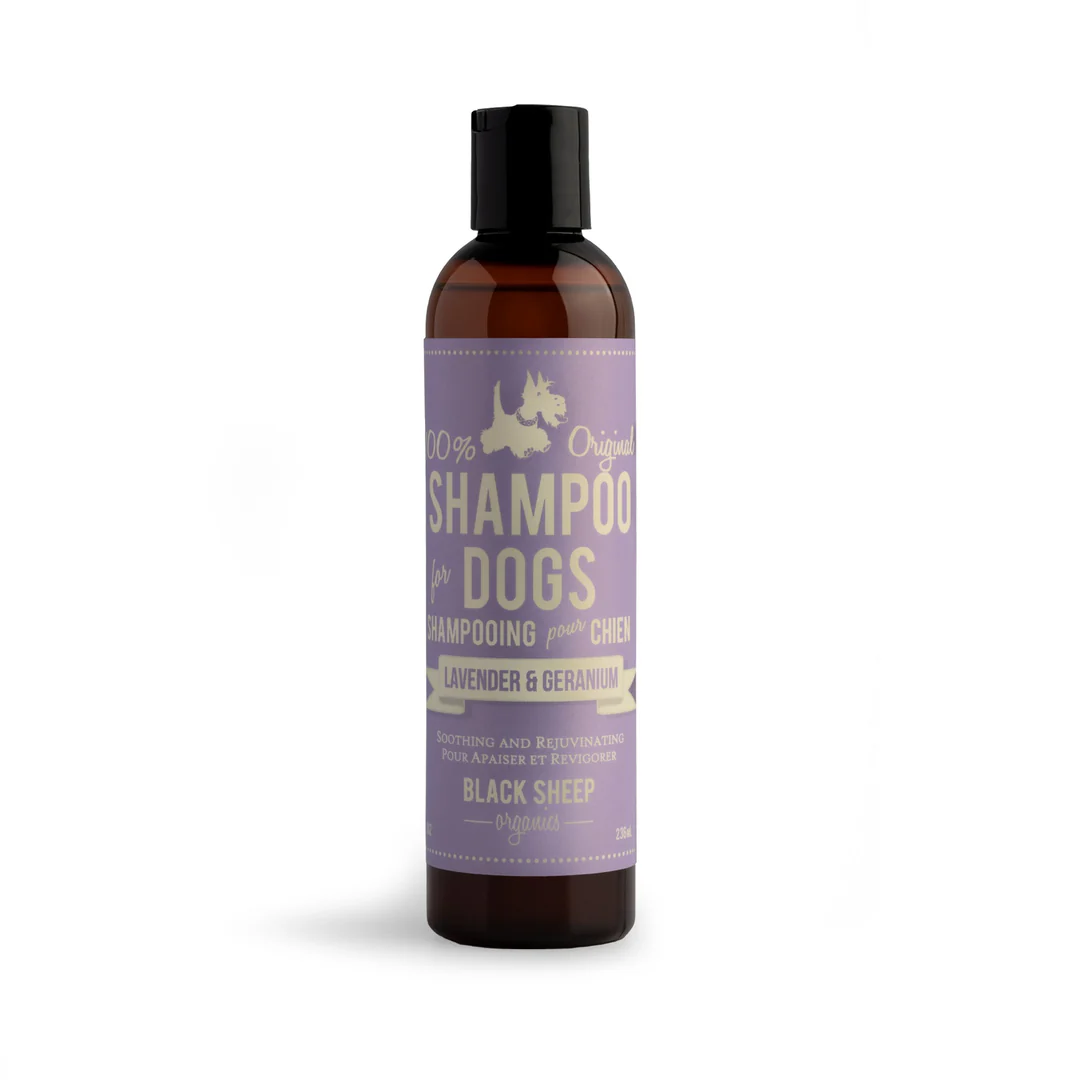 A brown bottle of Black Sheep Organics dog shampoo with a black cap. The lavender and beige label reads "100% Original Shampoo for Dogs, Lavender & Geranium" and features a dog silhouette.
