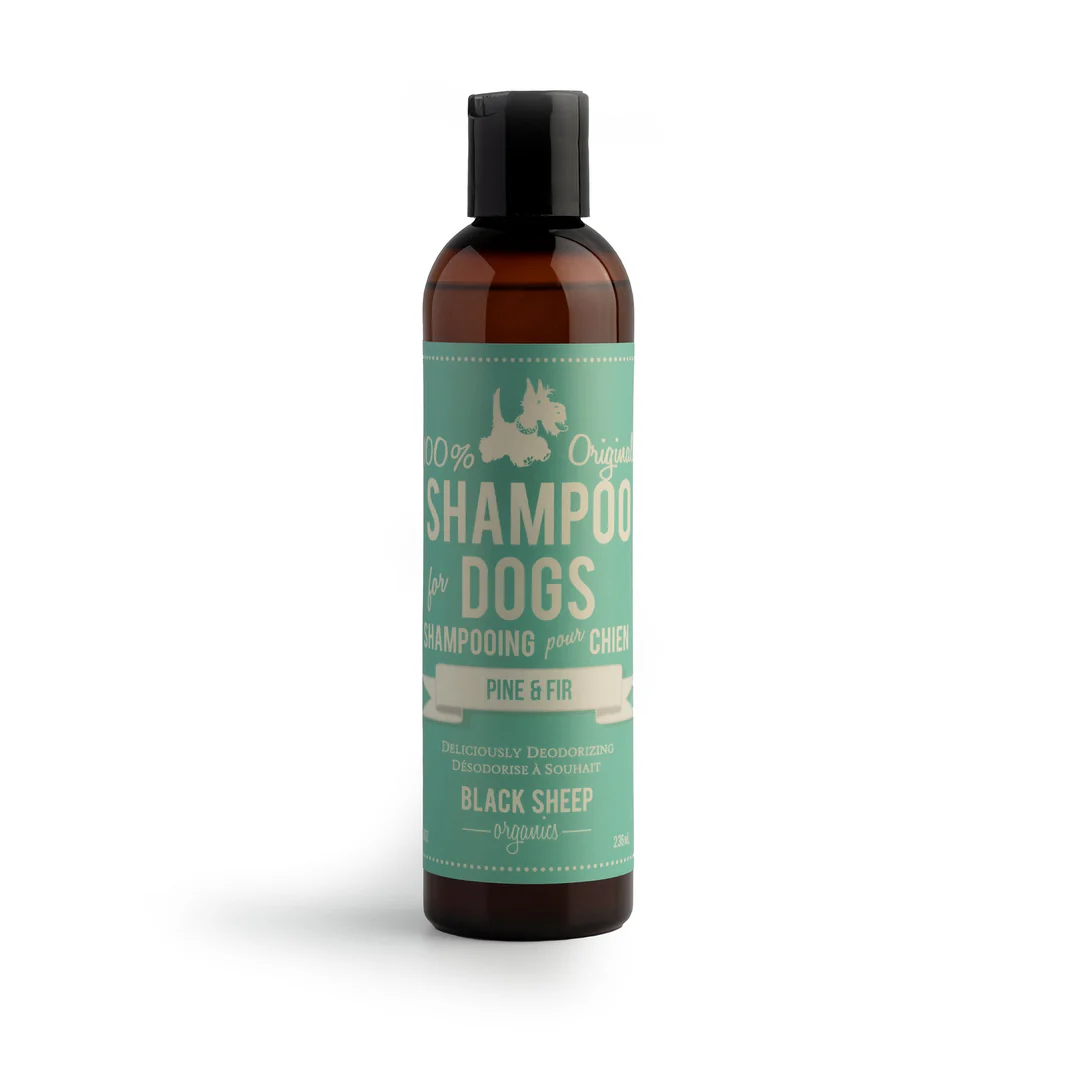 A bottle of Black Sheep Organics dog shampoo in a dark brown container with a green and cream label, featuring the text “Shampoo for Dogs, Pine & Fir, 100% Original, Black Sheep Organics.”.
