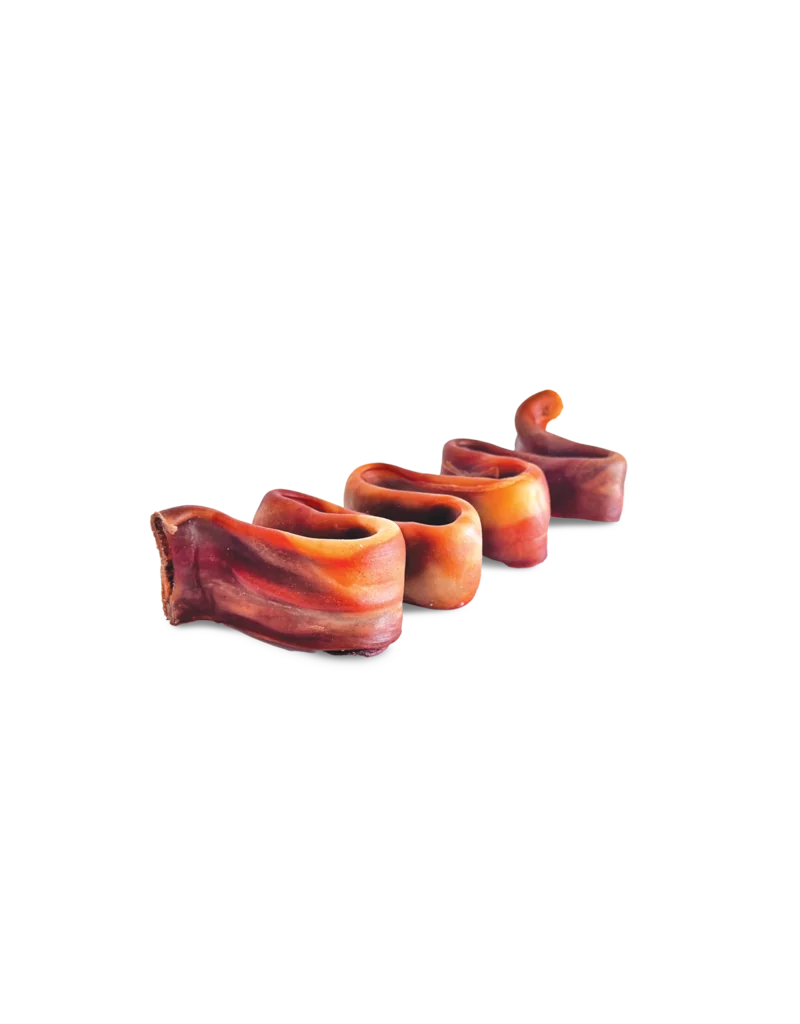 A single strip of cured, reddish-brown meat folded into an S-shape.