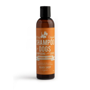A brown bottle of Black Sheep Organics dog shampoo in mandarin and orange scent, featuring an orange and white label with a dog illustration and product details in English and French.