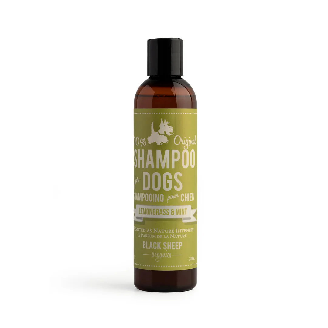 A brown bottle of Black Sheep Organics dog shampoo with a black cap, featuring a green label that reads "Shampoo for Dogs, Lemongrass & Mint, 100% Original, Certified Organic.