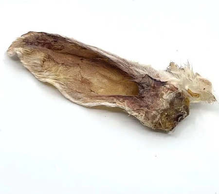 A single dried fish maw with a slightly curved shape and rough, beige surface, shown against a plain white background.