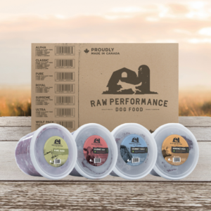 "Raw Performance dog food with four flavor options, box packaging."